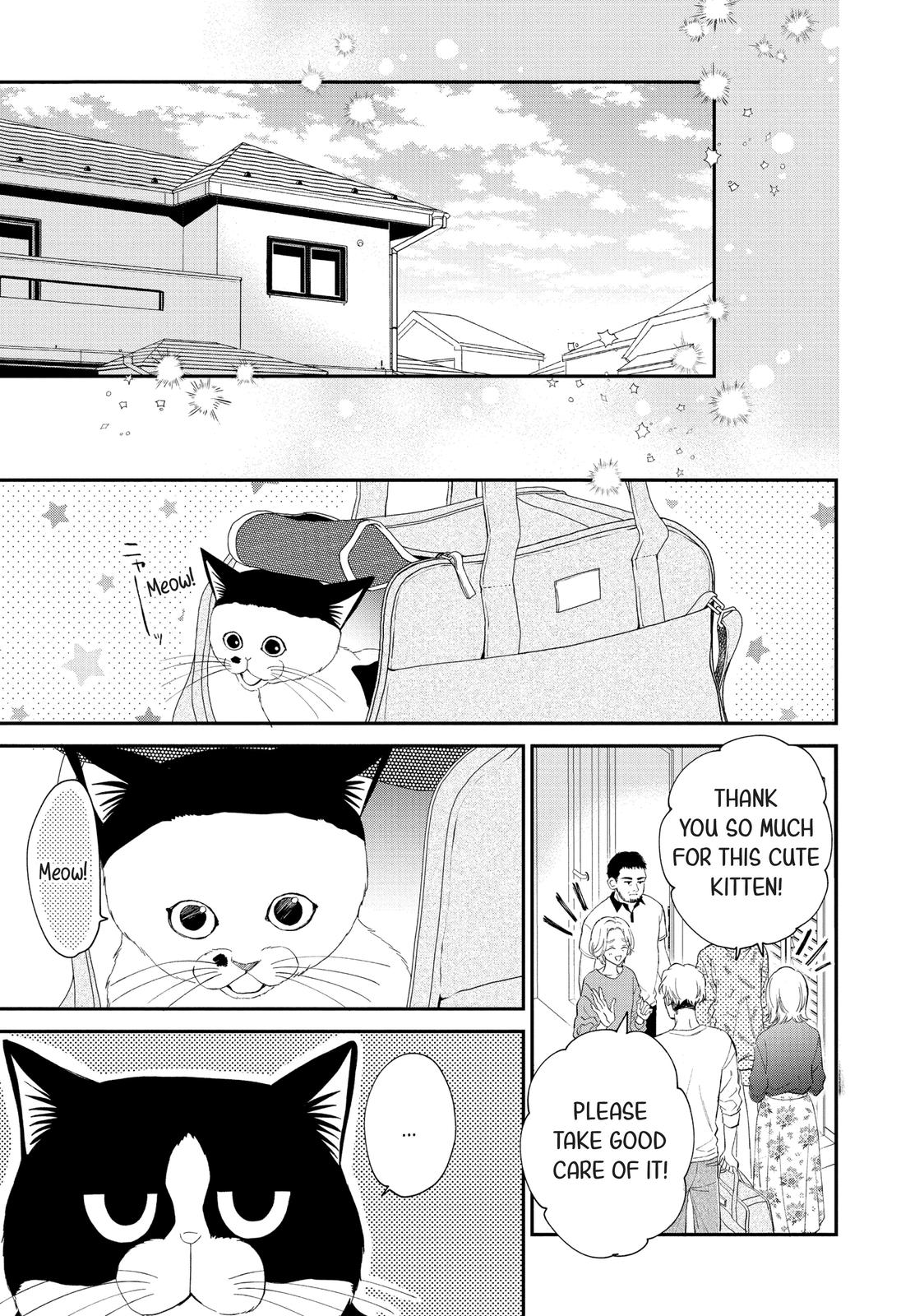 Neko to Kiss