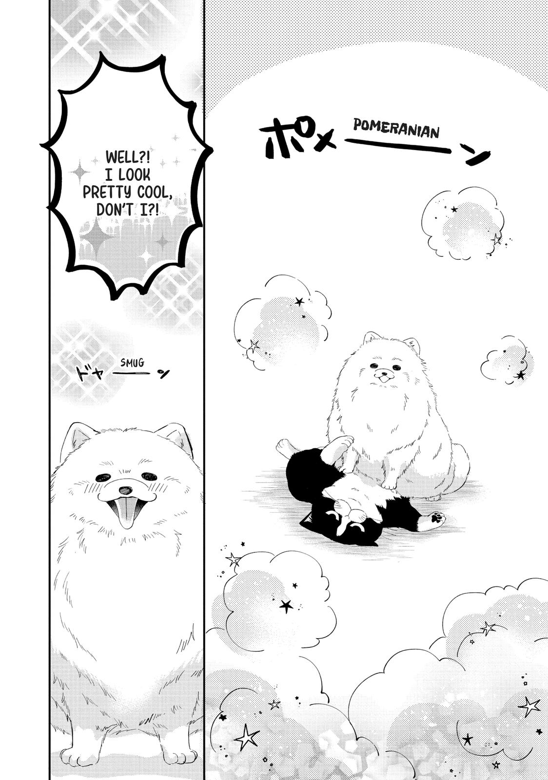 Neko to Kiss