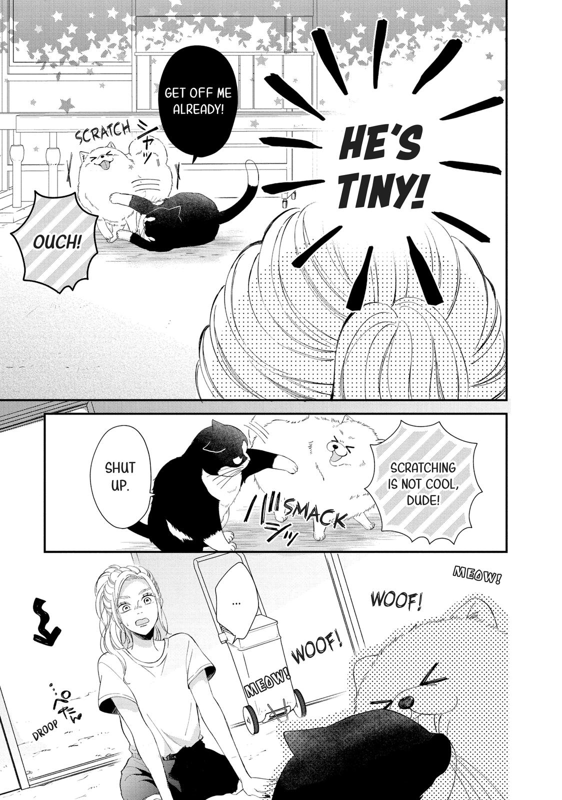 Neko to Kiss