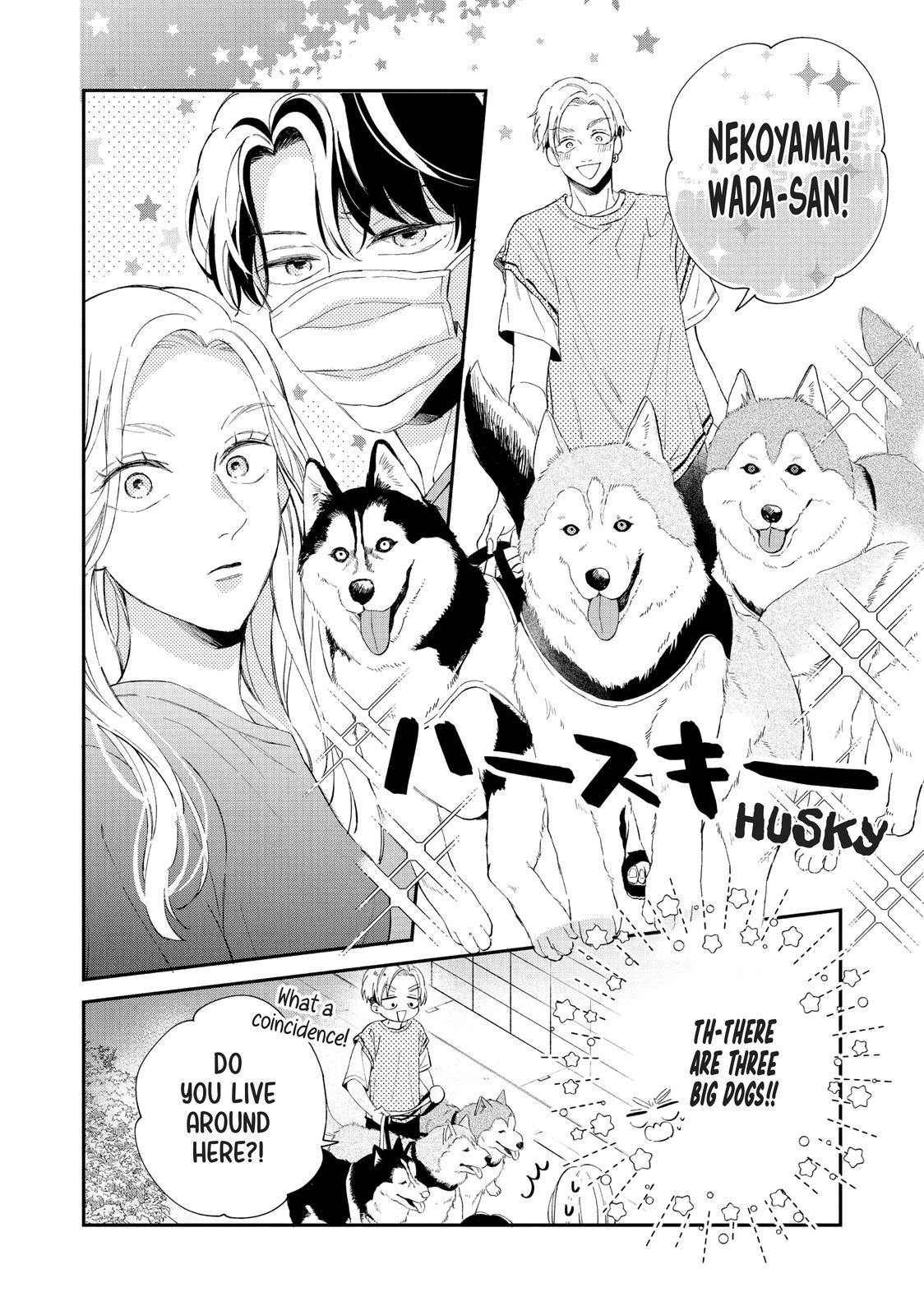 Neko to Kiss