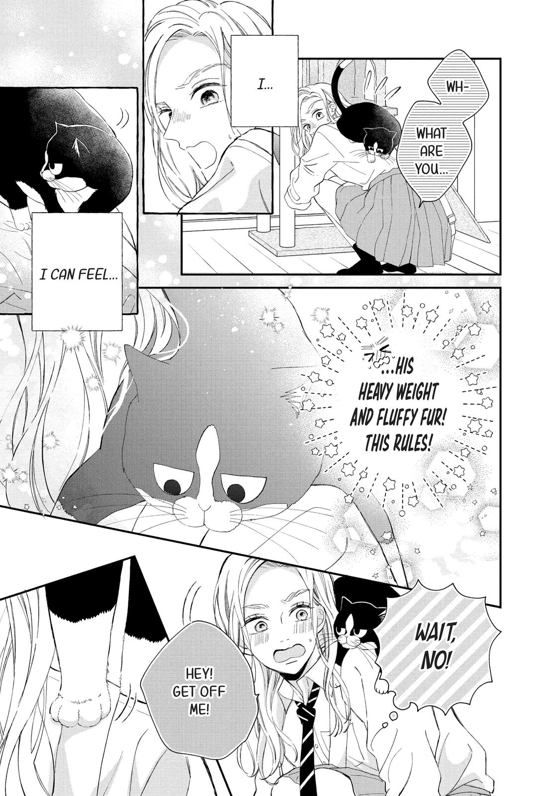 Neko to Kiss