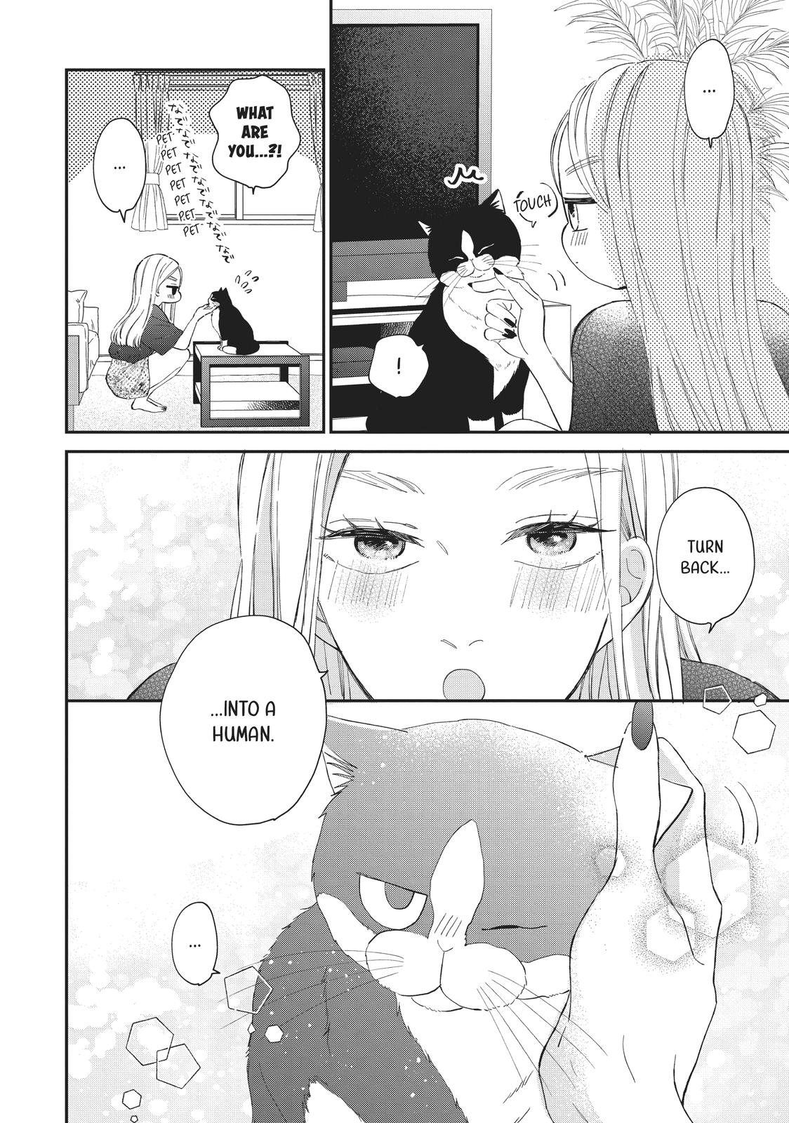 Neko to Kiss