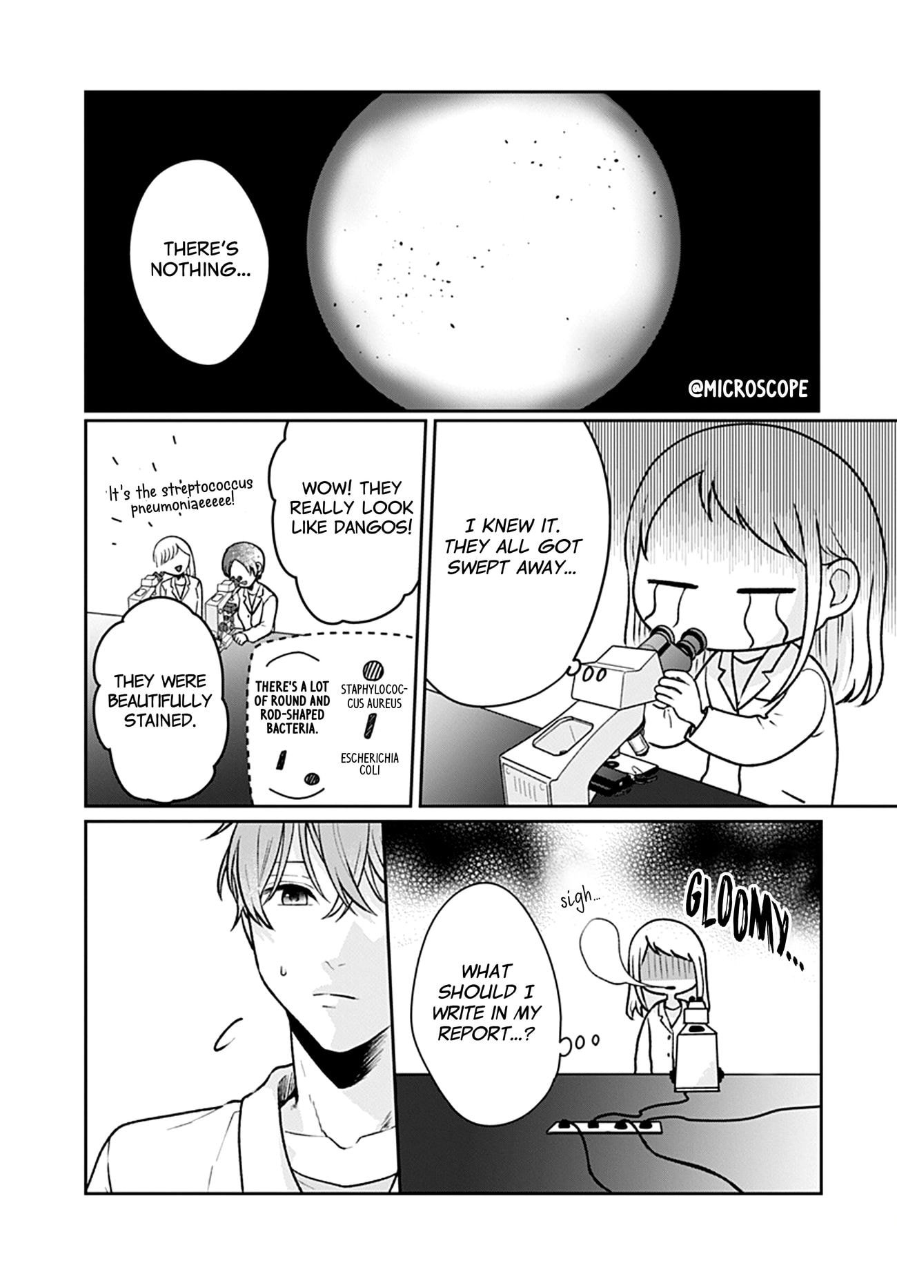 Houtai Gokko
