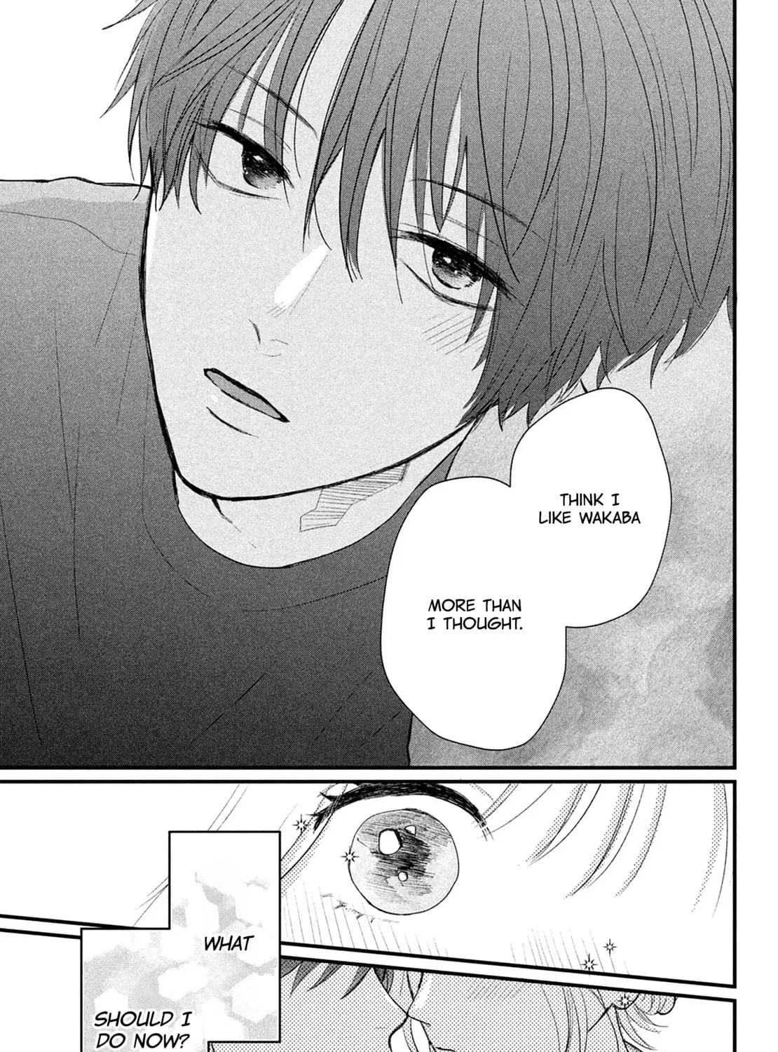 Okuremashite Seishun