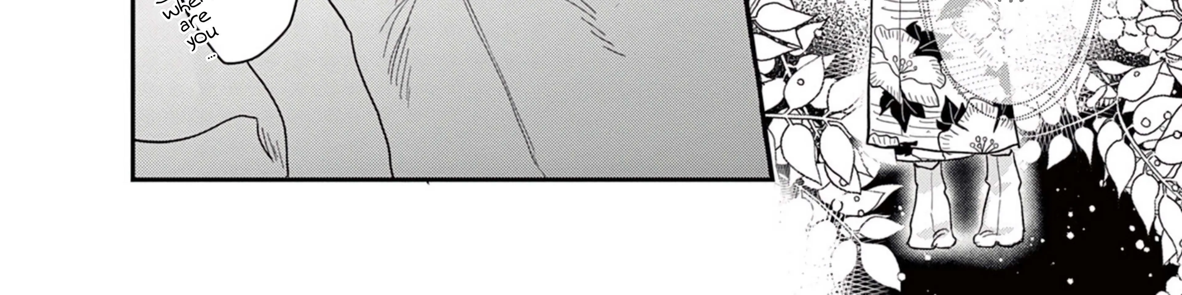 The Reason We Fall in Love