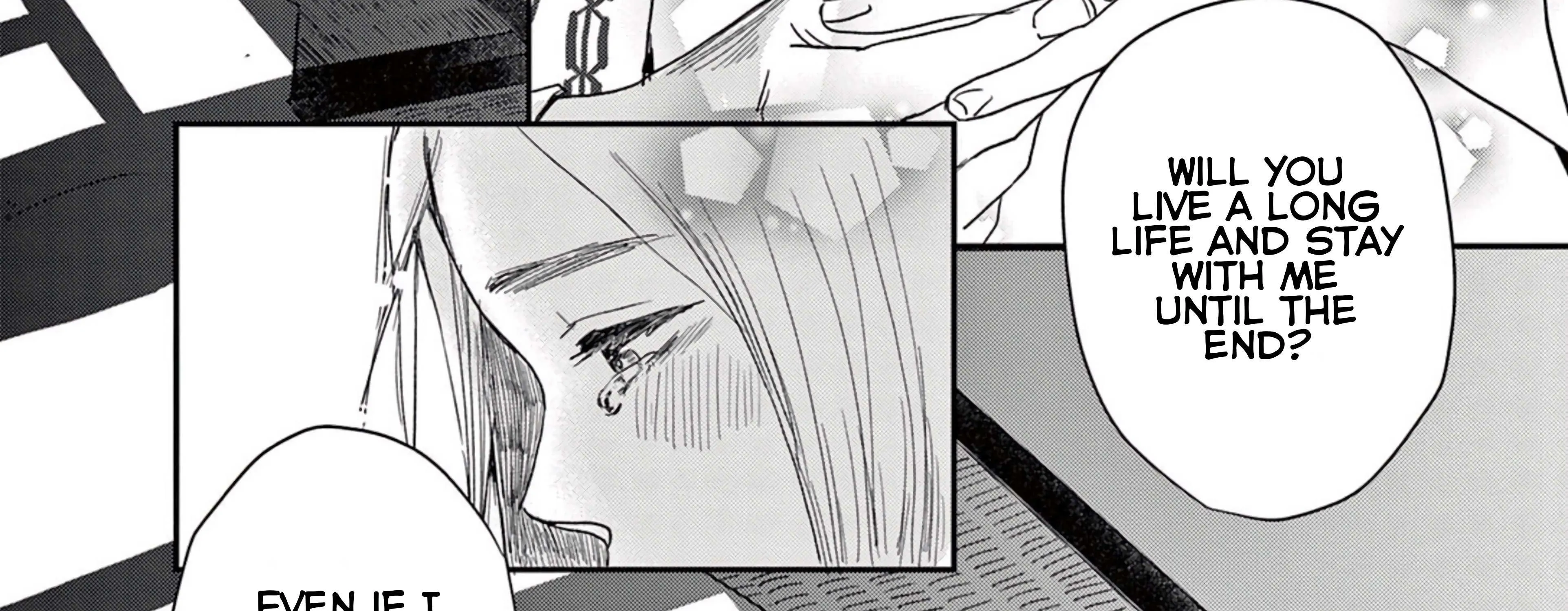 The Reason We Fall in Love