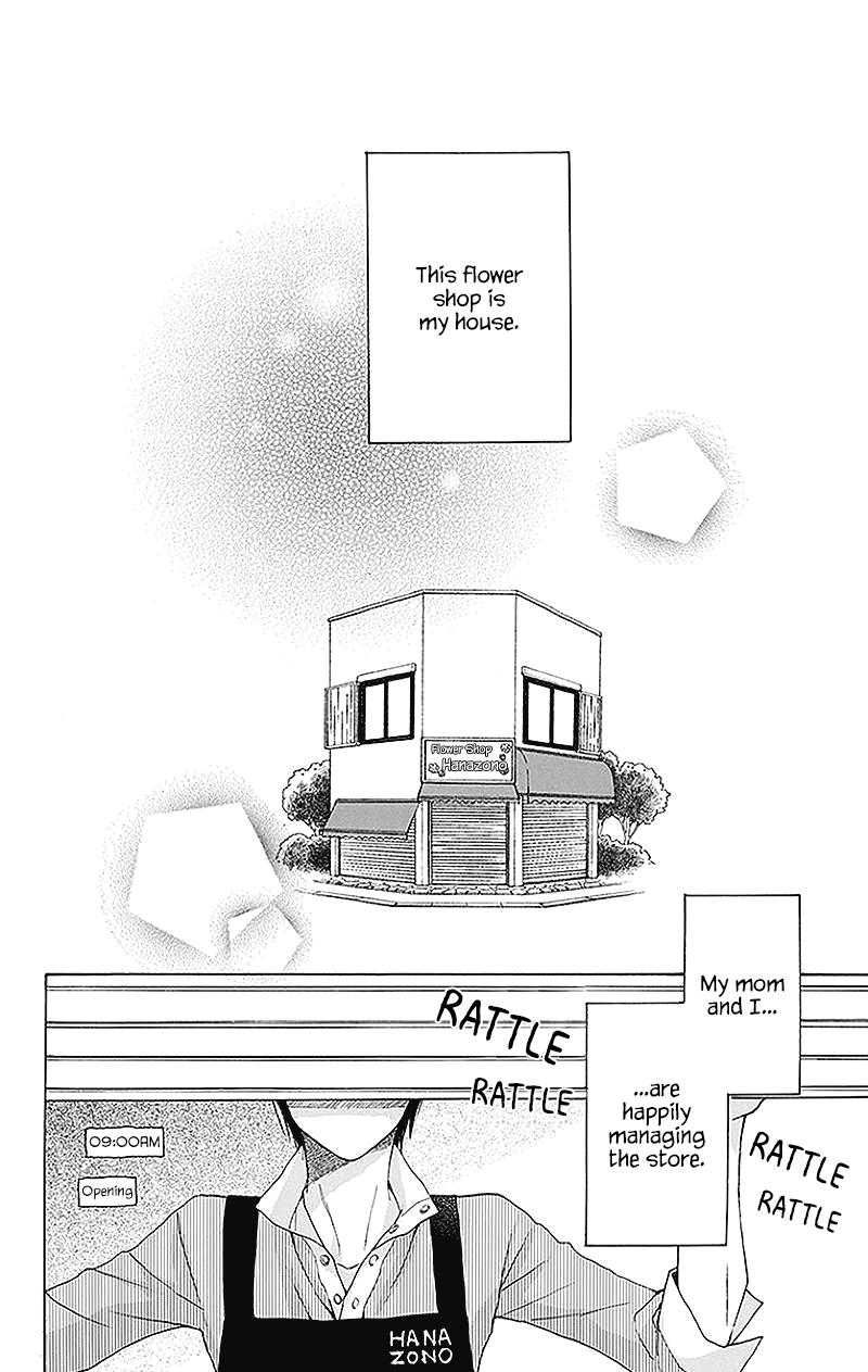 Kawaii Hito