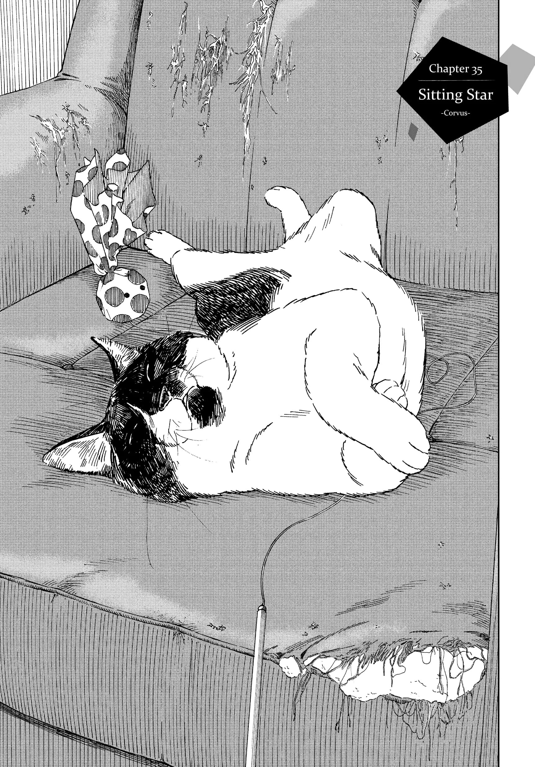 Insomniacs After School