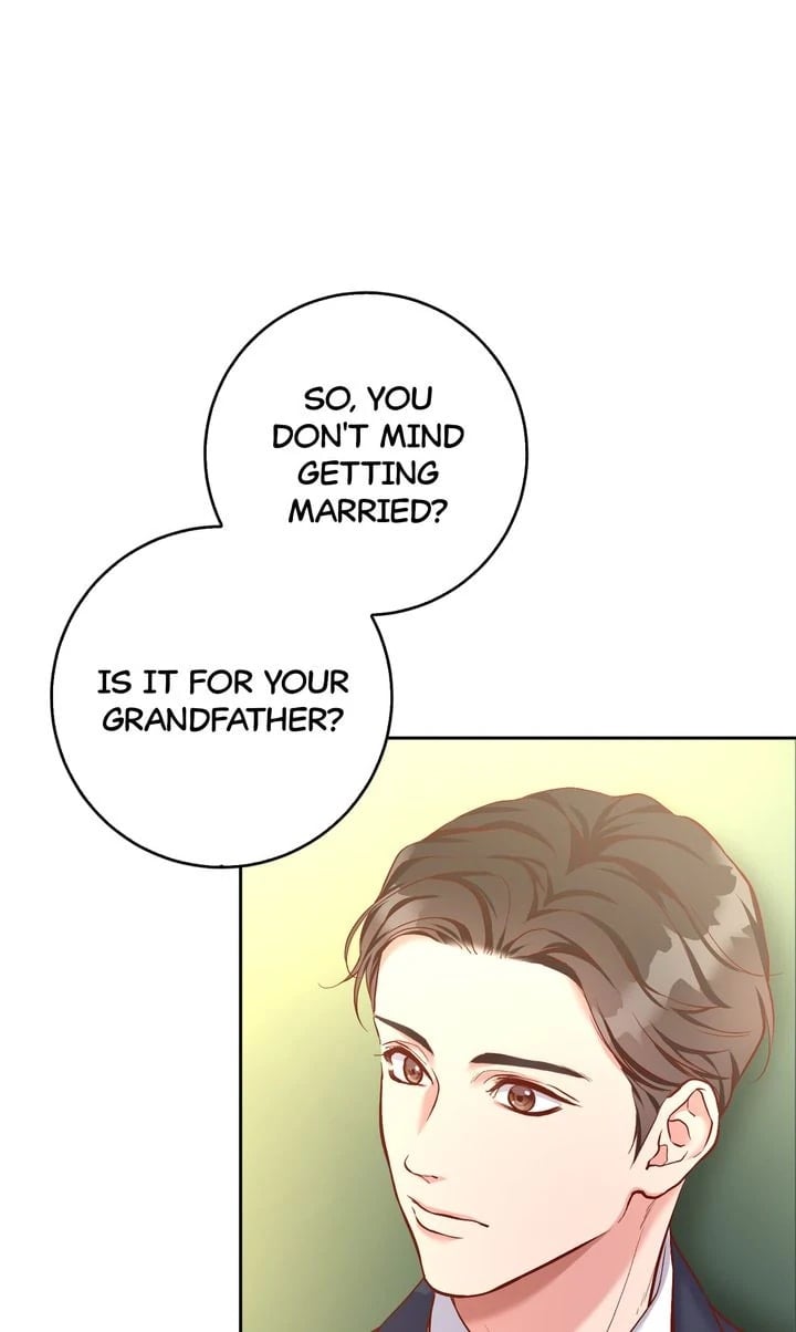 Business Marriage - If You Fall in Love, We'll Get a Divorce