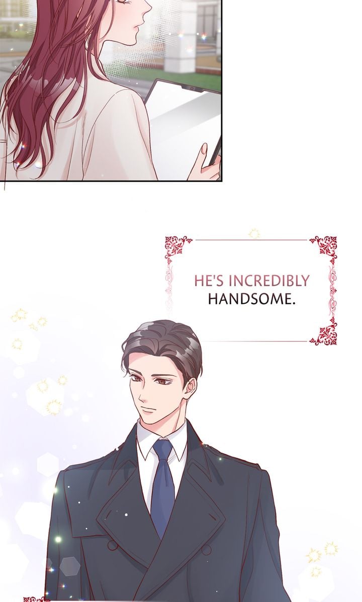Business Marriage - If You Fall in Love, We'll Get a Divorce