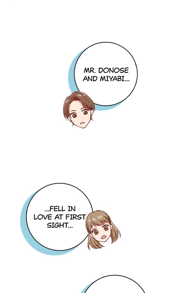 Business Marriage - If You Fall in Love, We'll Get a Divorce