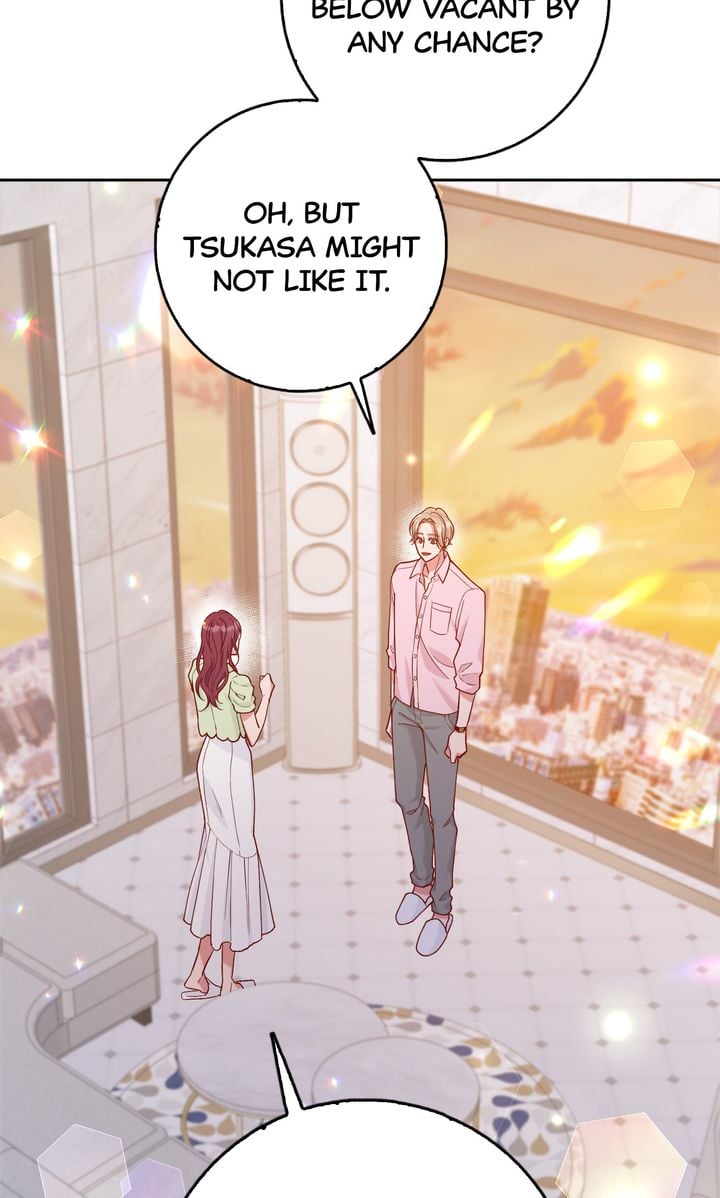 Business Marriage - If You Fall in Love, We'll Get a Divorce
