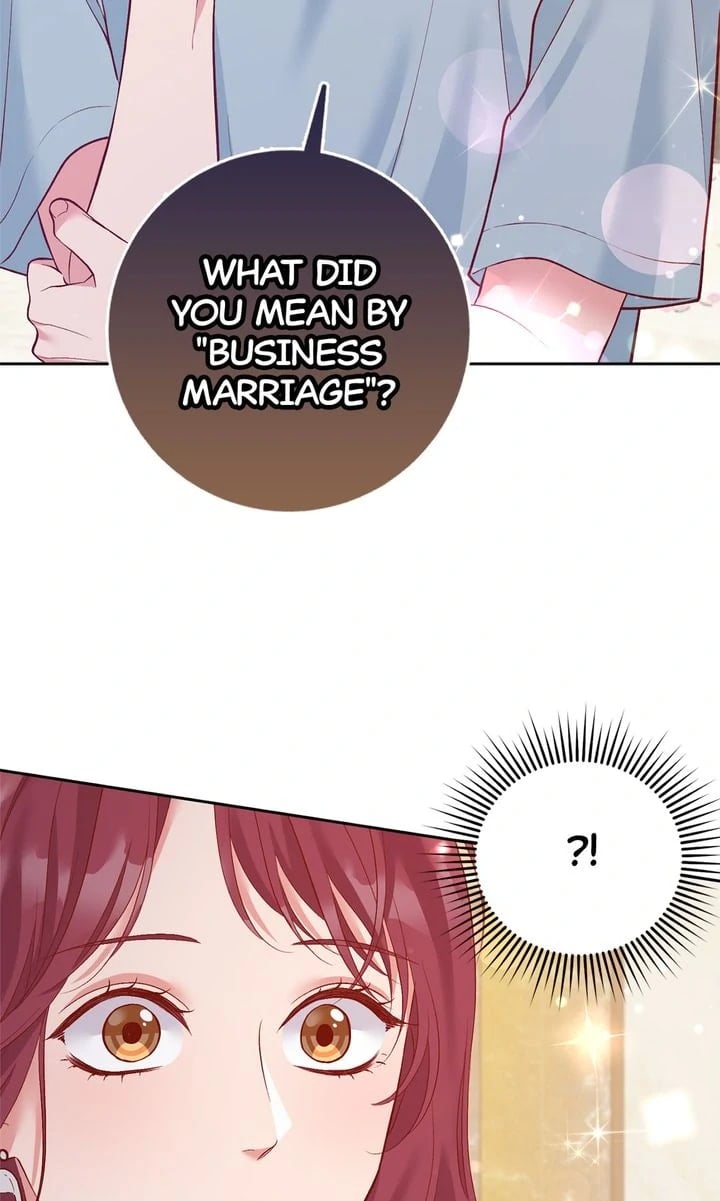 Business Marriage - If You Fall in Love, We'll Get a Divorce