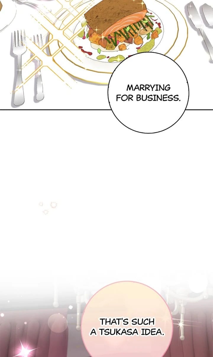Business Marriage - If You Fall in Love, We'll Get a Divorce