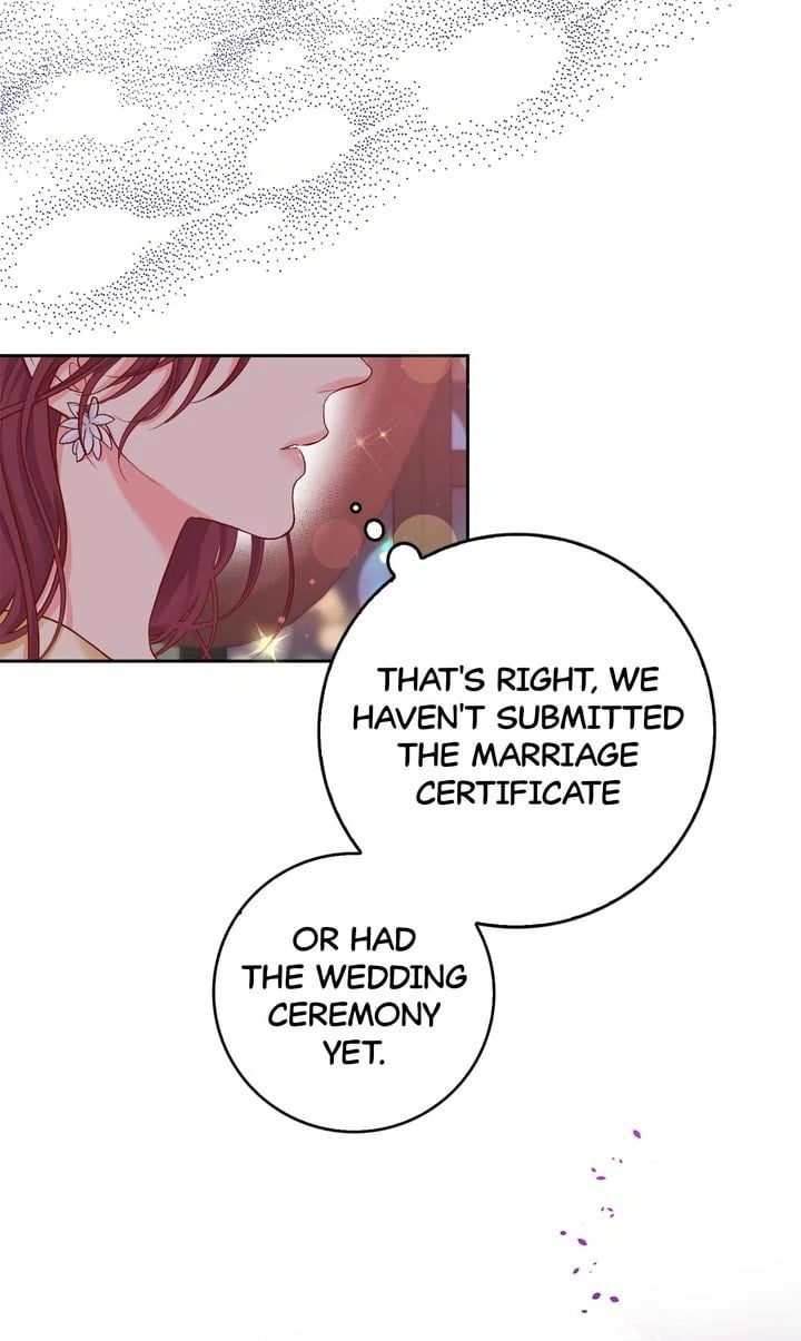 Business Marriage - If You Fall in Love, We'll Get a Divorce
