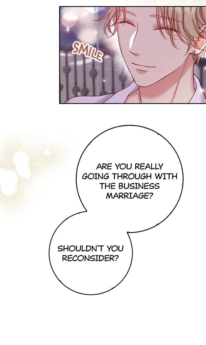 Business Marriage - If You Fall in Love, We'll Get a Divorce