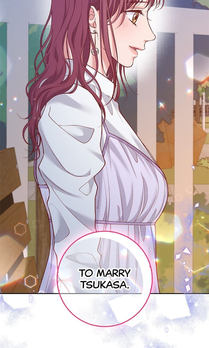 Business Marriage - If You Fall in Love, We'll Get a Divorce