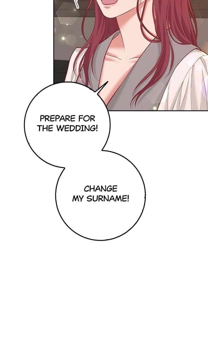 Business Marriage - If You Fall in Love, We'll Get a Divorce