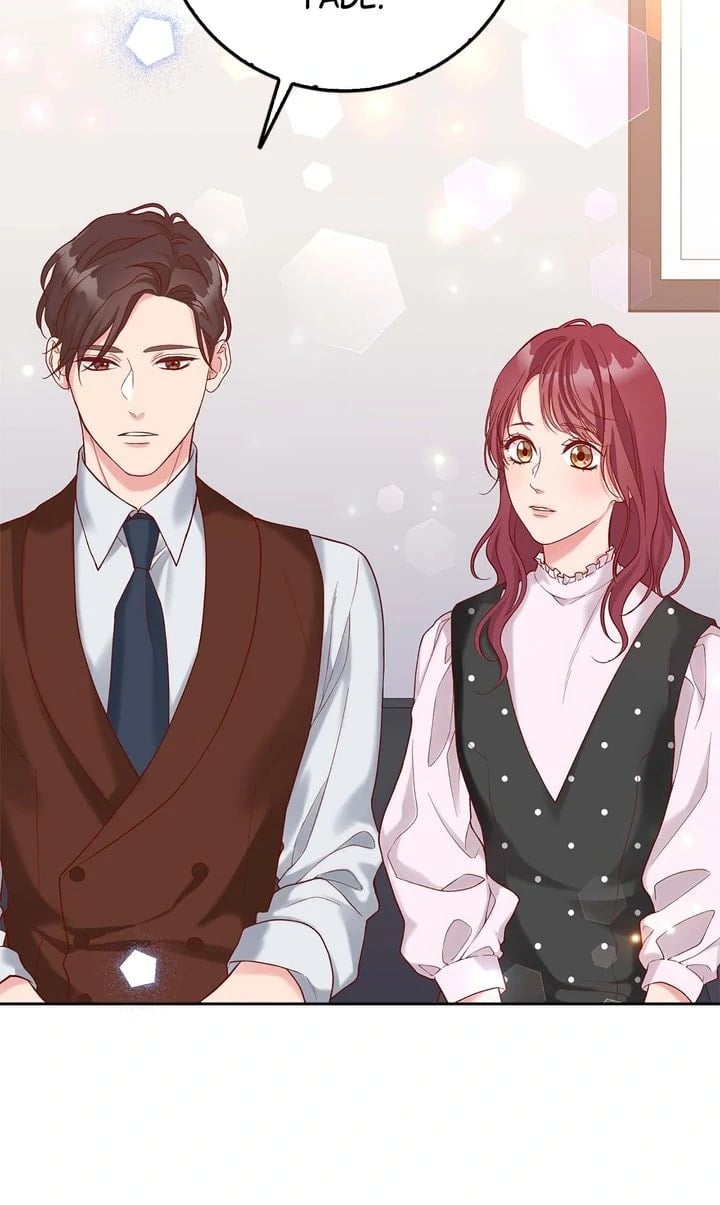 Business Marriage - If You Fall in Love, We'll Get a Divorce