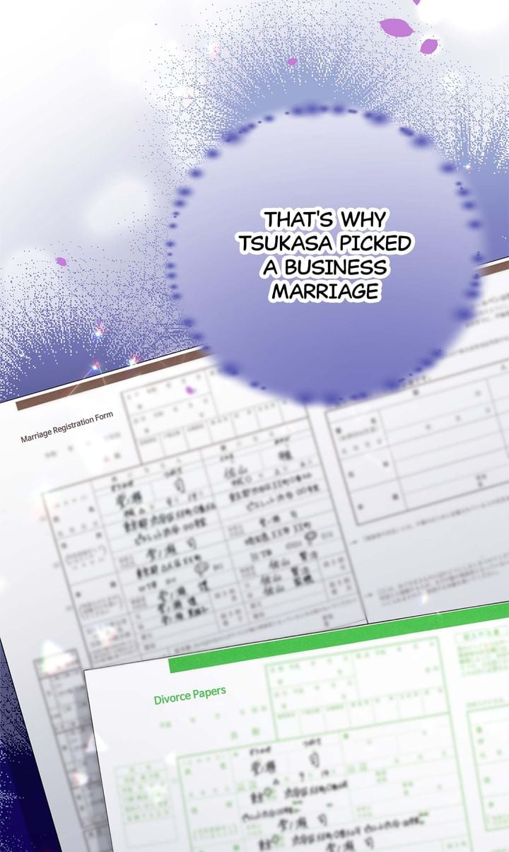 Business Marriage - If You Fall in Love, We'll Get a Divorce