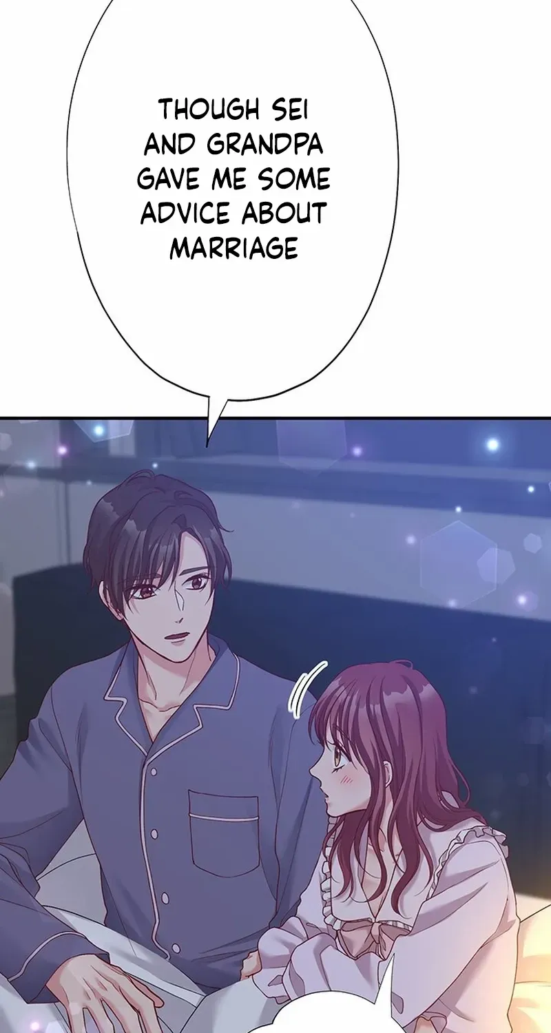 Business Marriage - If You Fall in Love, We'll Get a Divorce
