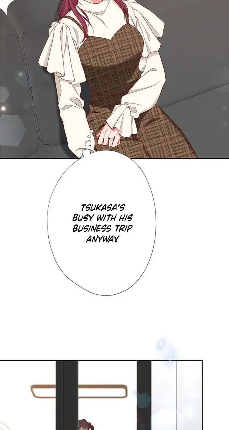 Business Marriage - If You Fall in Love, We'll Get a Divorce