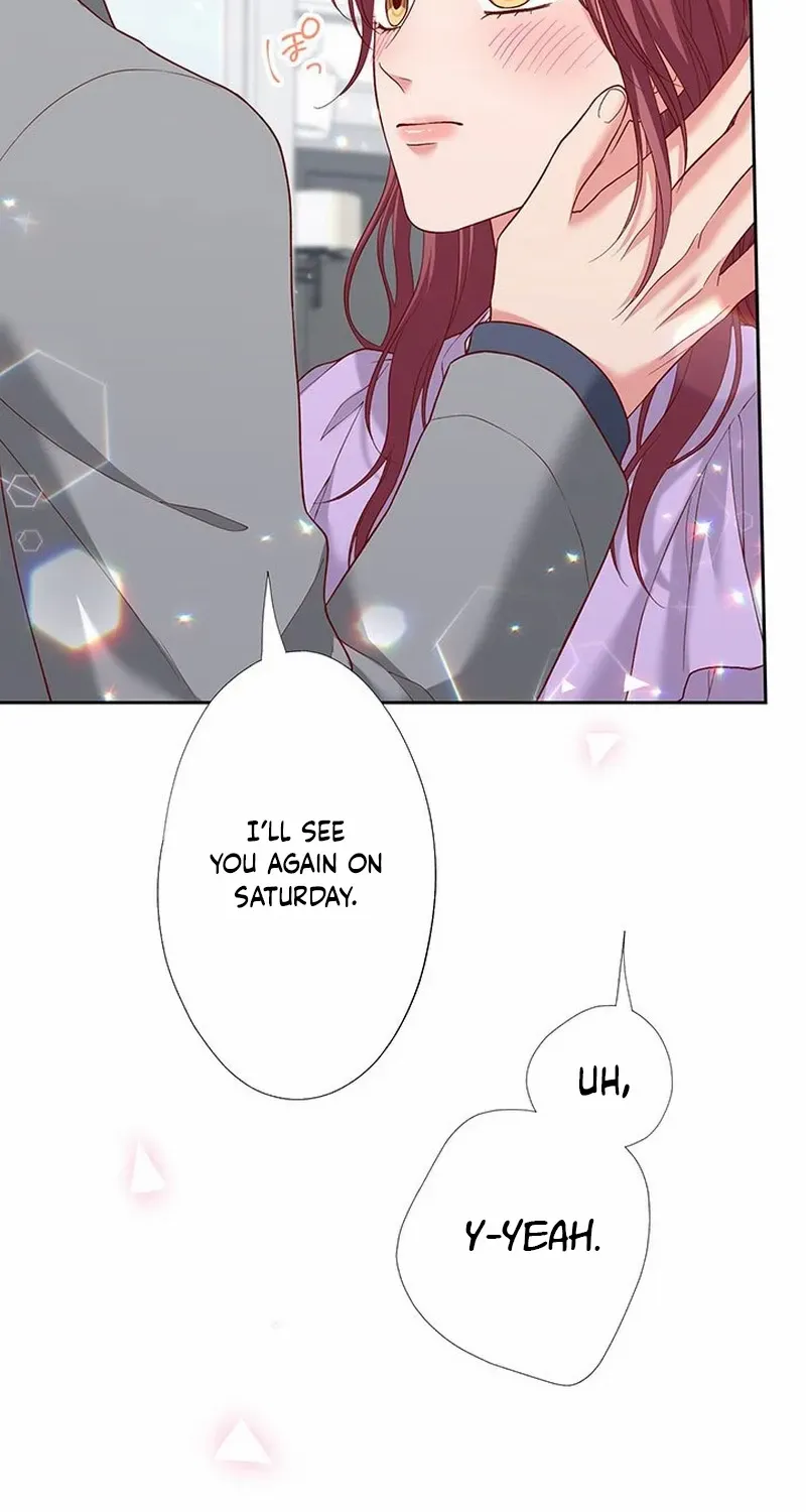 Business Marriage - If You Fall in Love, We'll Get a Divorce