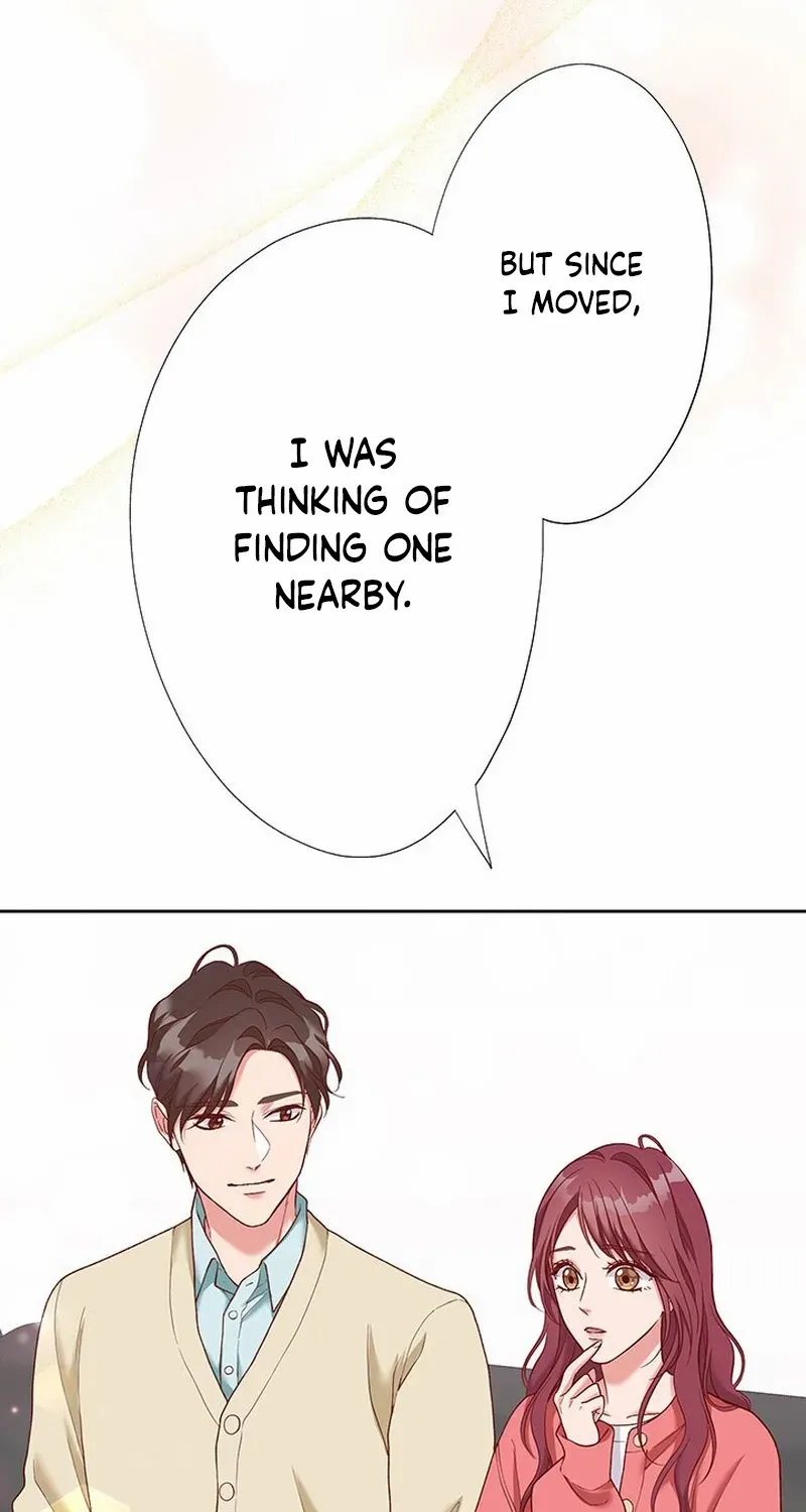 Business Marriage - If You Fall in Love, We'll Get a Divorce