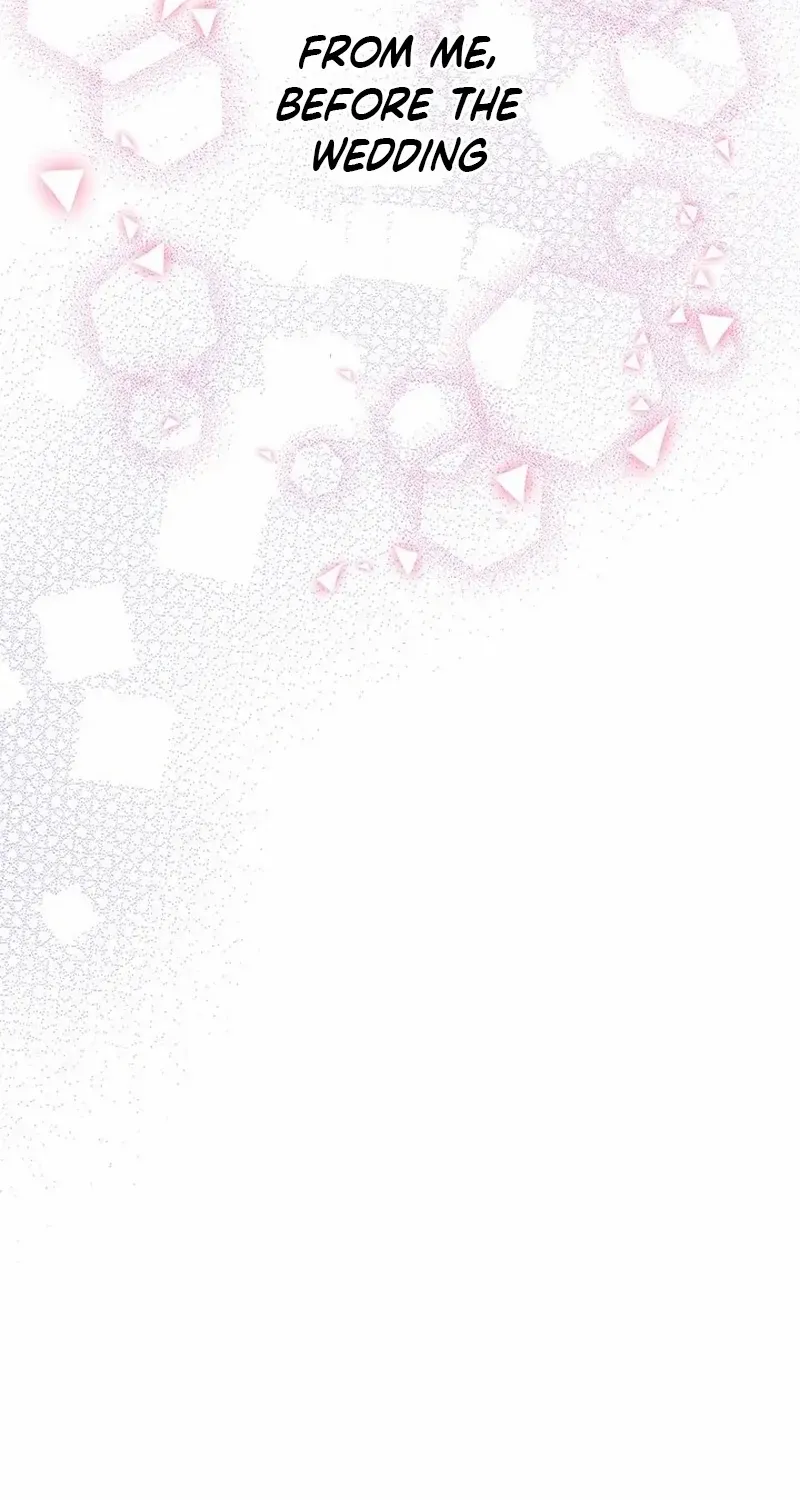 Business Marriage - If You Fall in Love, We'll Get a Divorce