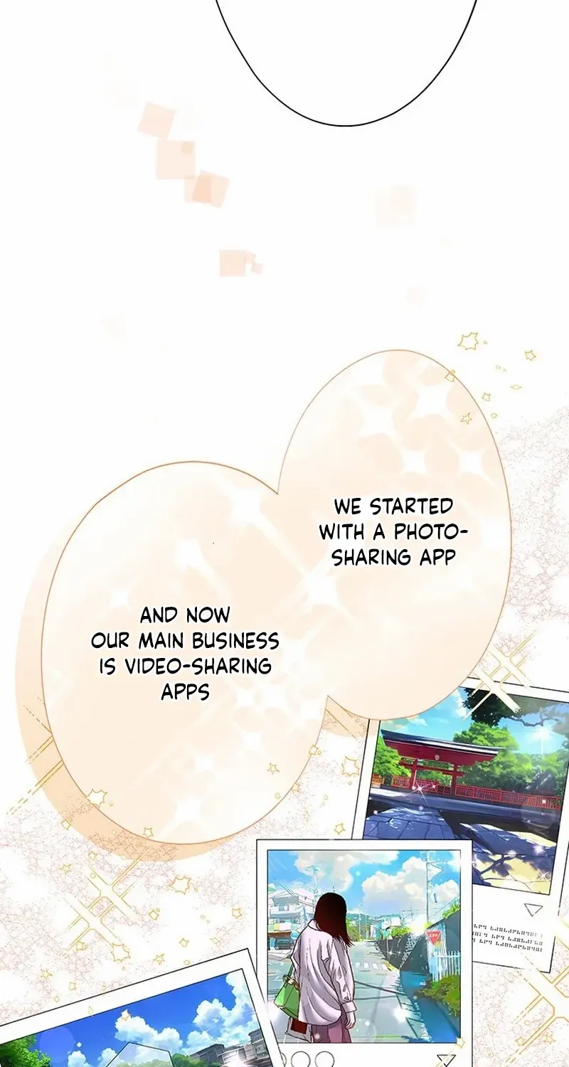 Business Marriage - If You Fall in Love, We'll Get a Divorce