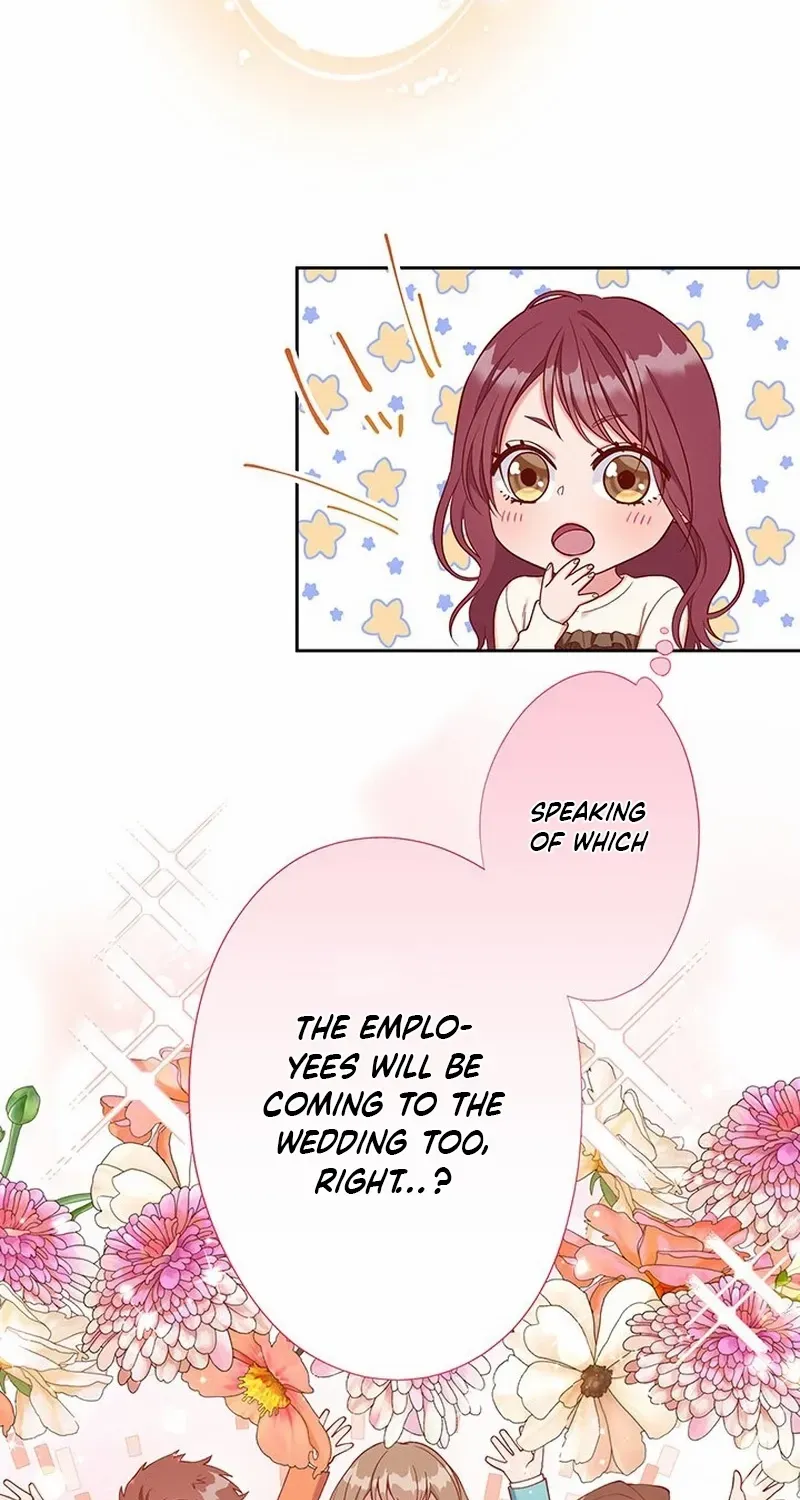 Business Marriage - If You Fall in Love, We'll Get a Divorce