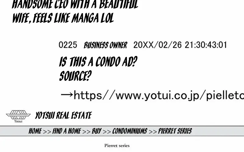 Business Marriage - If You Fall in Love, We'll Get a Divorce