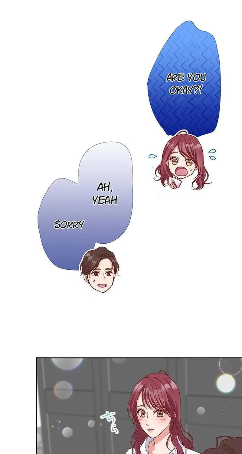 Business Marriage - If You Fall in Love, We'll Get a Divorce