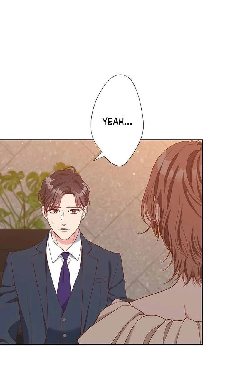 Business Marriage - If You Fall in Love, We'll Get a Divorce