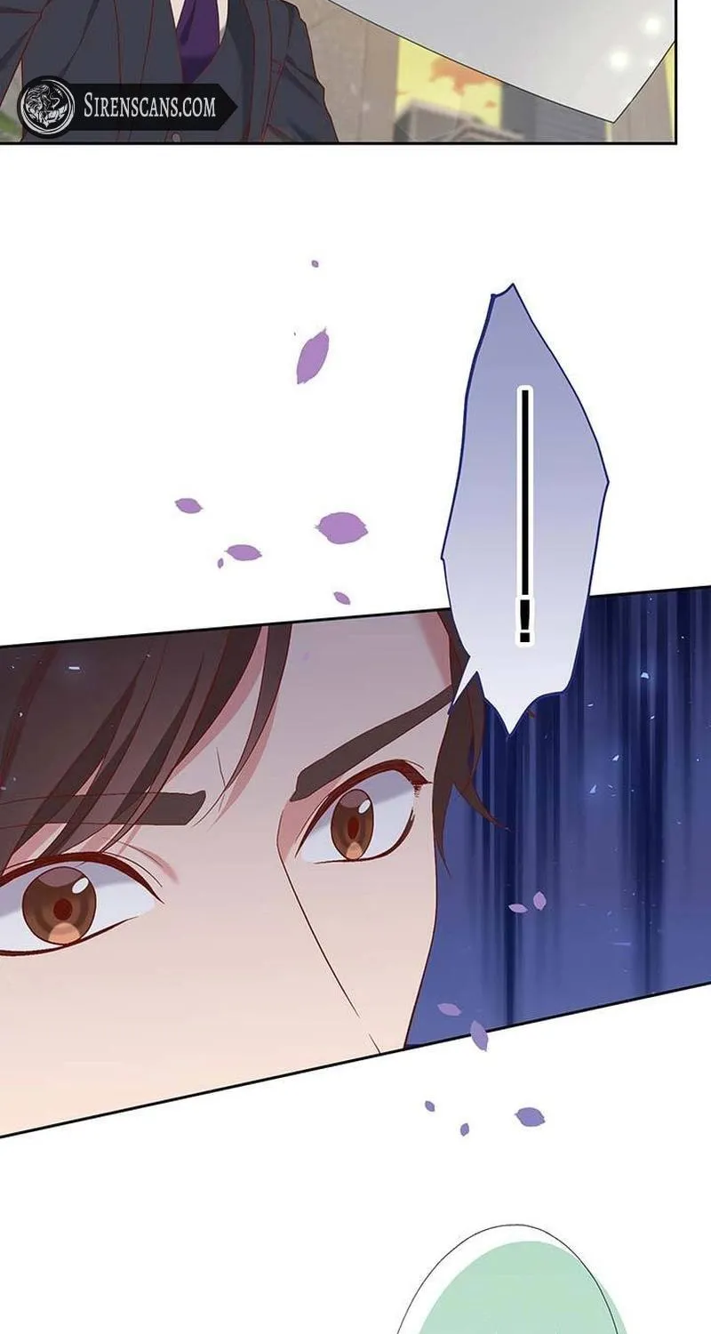 Business Marriage - If You Fall in Love, We'll Get a Divorce