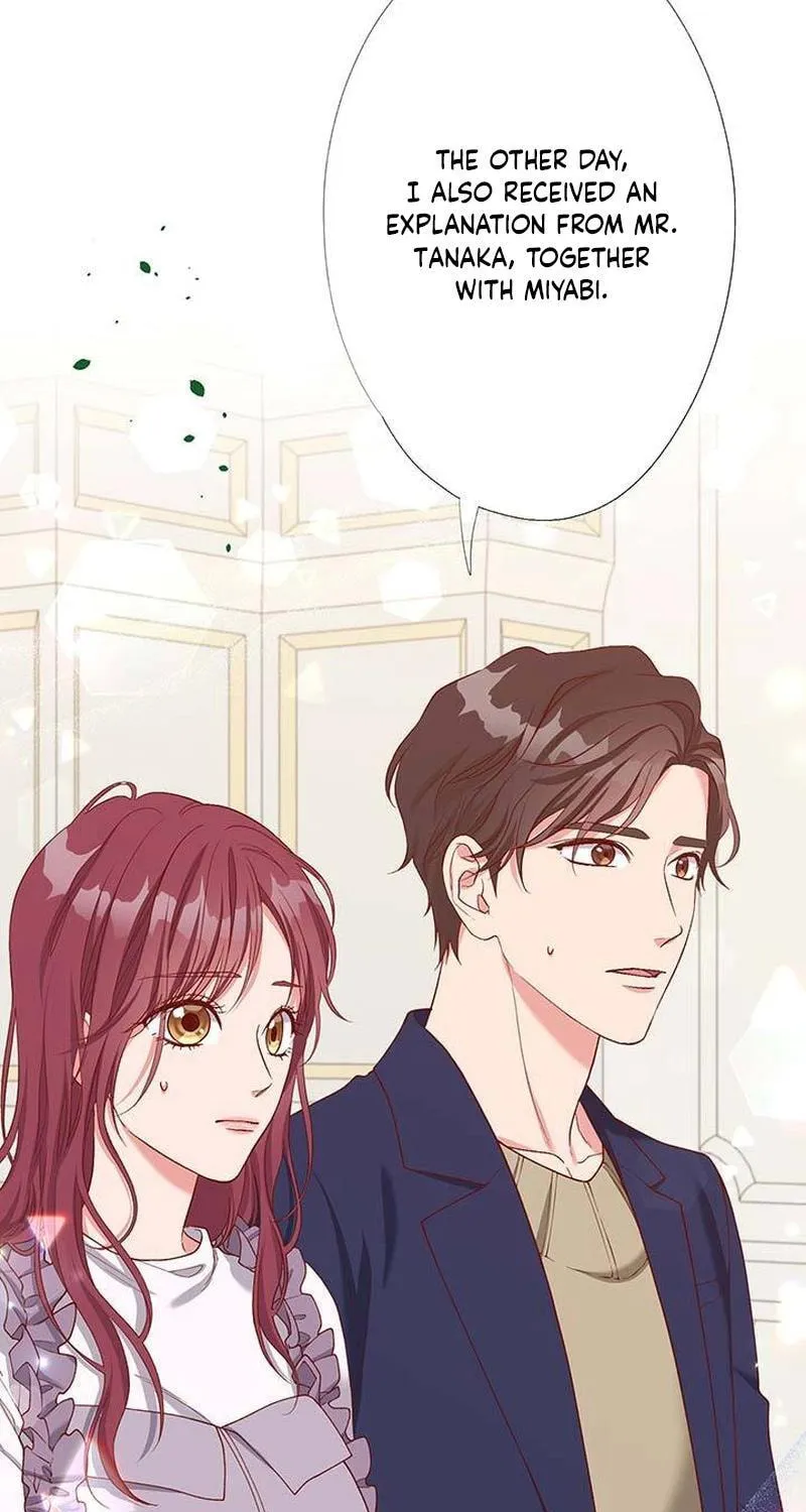 Business Marriage - If You Fall in Love, We'll Get a Divorce