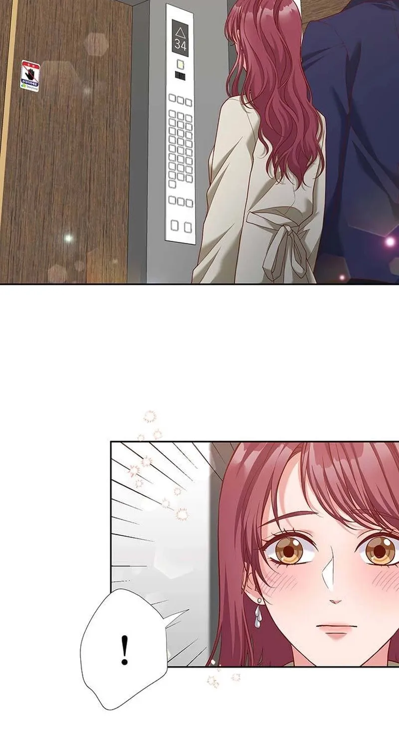 Business Marriage - If You Fall in Love, We'll Get a Divorce