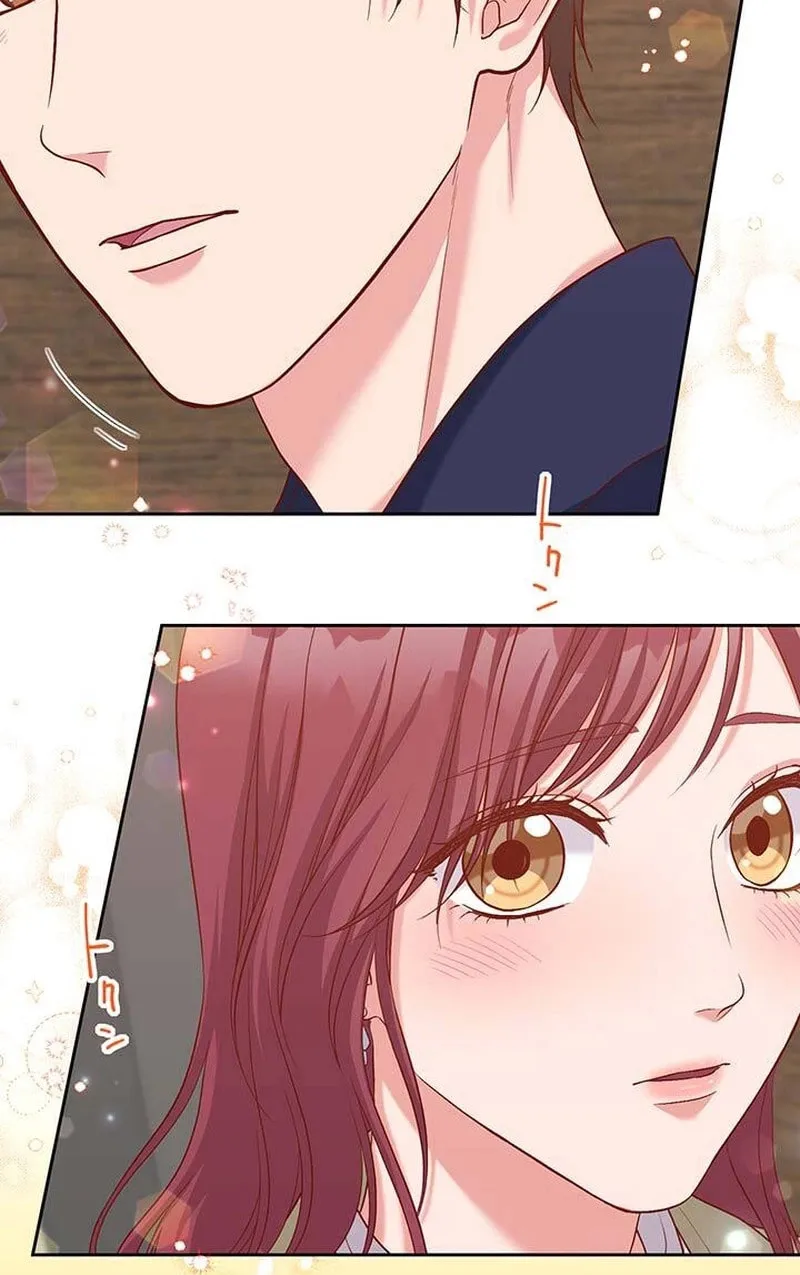 Business Marriage - If You Fall in Love, We'll Get a Divorce