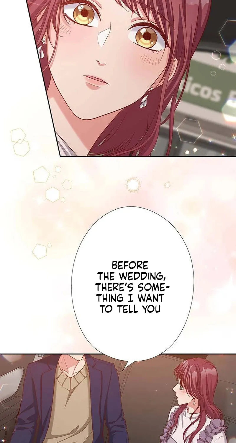 Business Marriage - If You Fall in Love, We'll Get a Divorce