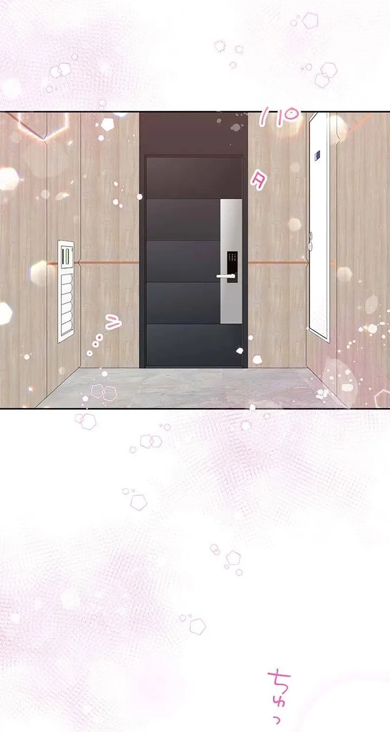 Business Marriage - If You Fall in Love, We'll Get a Divorce