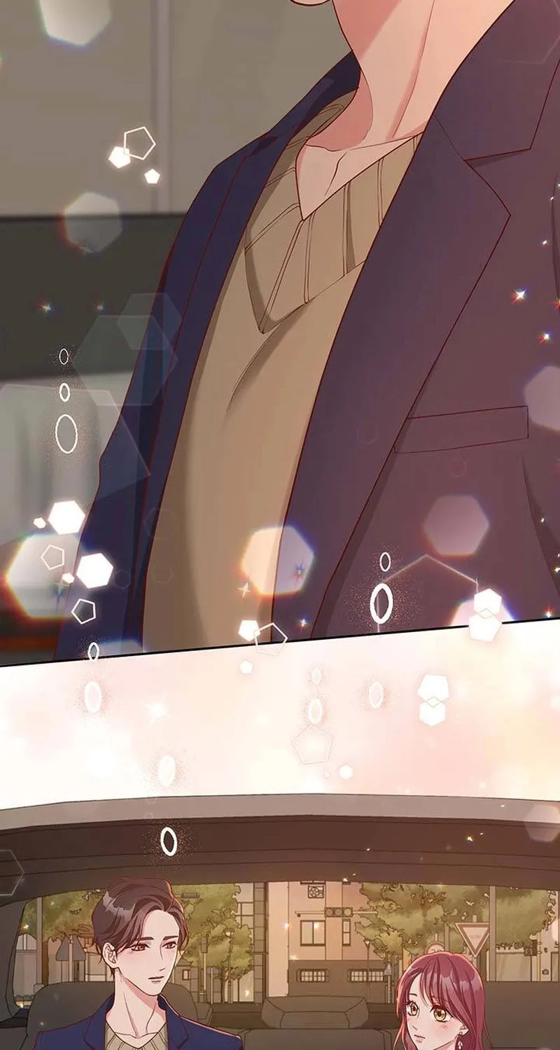 Business Marriage - If You Fall in Love, We'll Get a Divorce