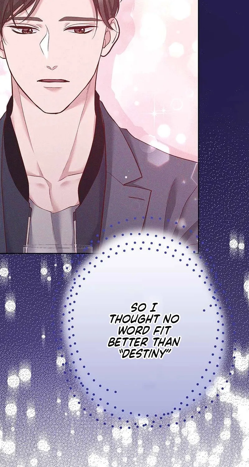 Business Marriage - If You Fall in Love, We'll Get a Divorce