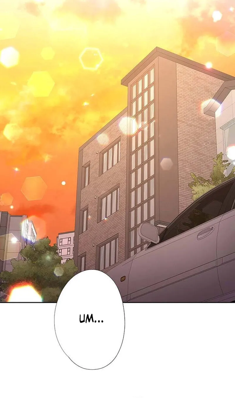 Business Marriage - If You Fall in Love, We'll Get a Divorce