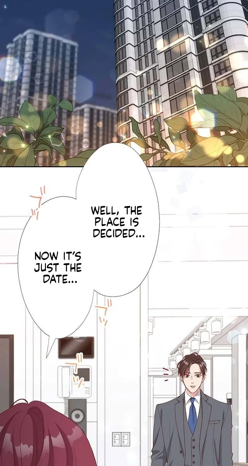 Business Marriage - If You Fall in Love, We'll Get a Divorce