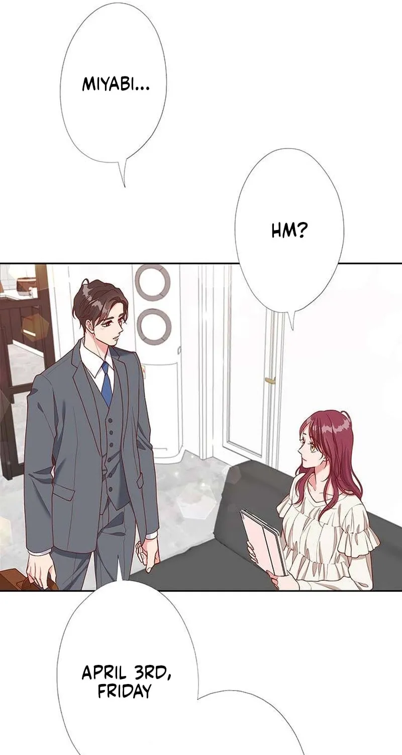 Business Marriage - If You Fall in Love, We'll Get a Divorce