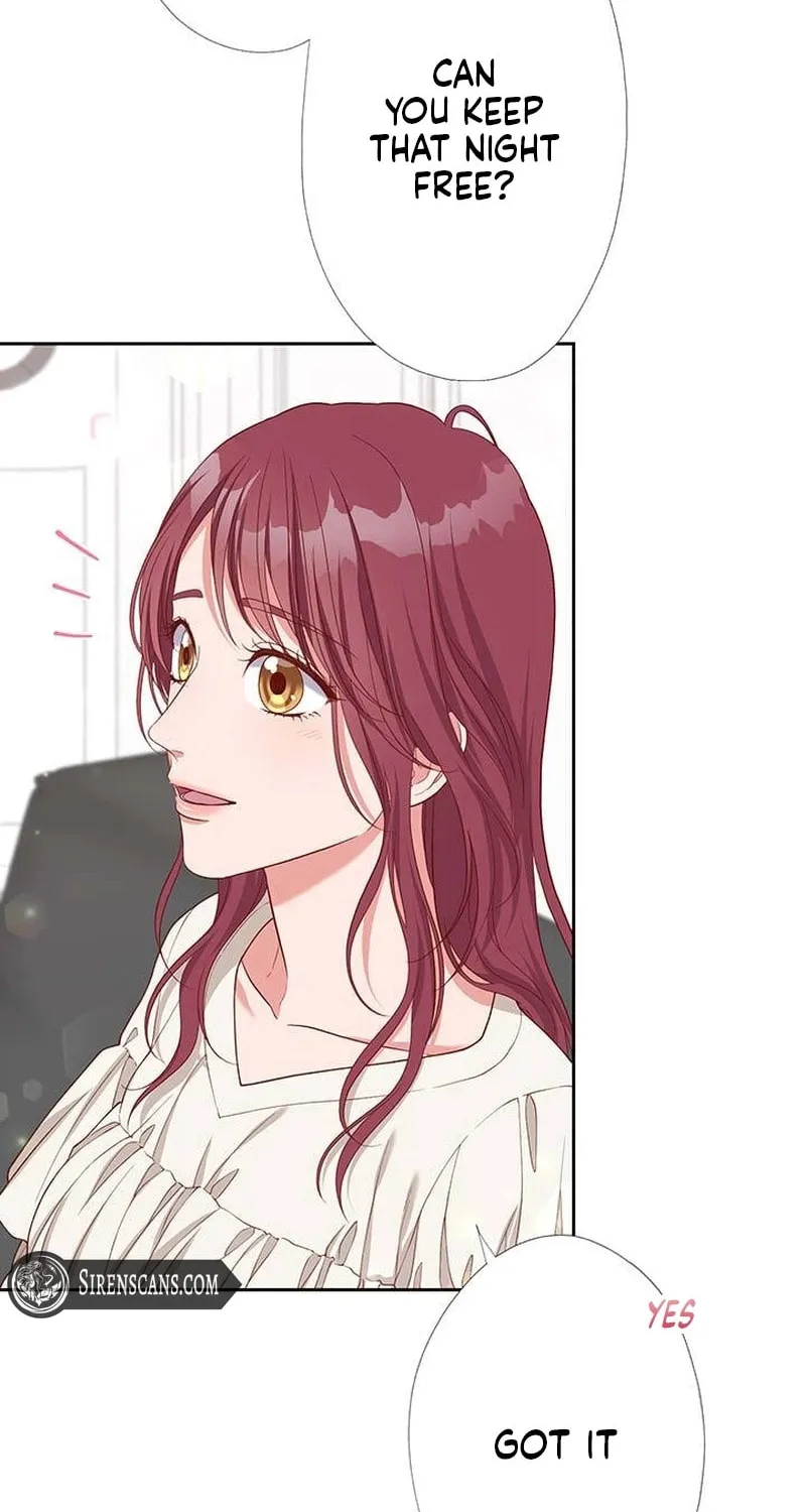 Business Marriage - If You Fall in Love, We'll Get a Divorce