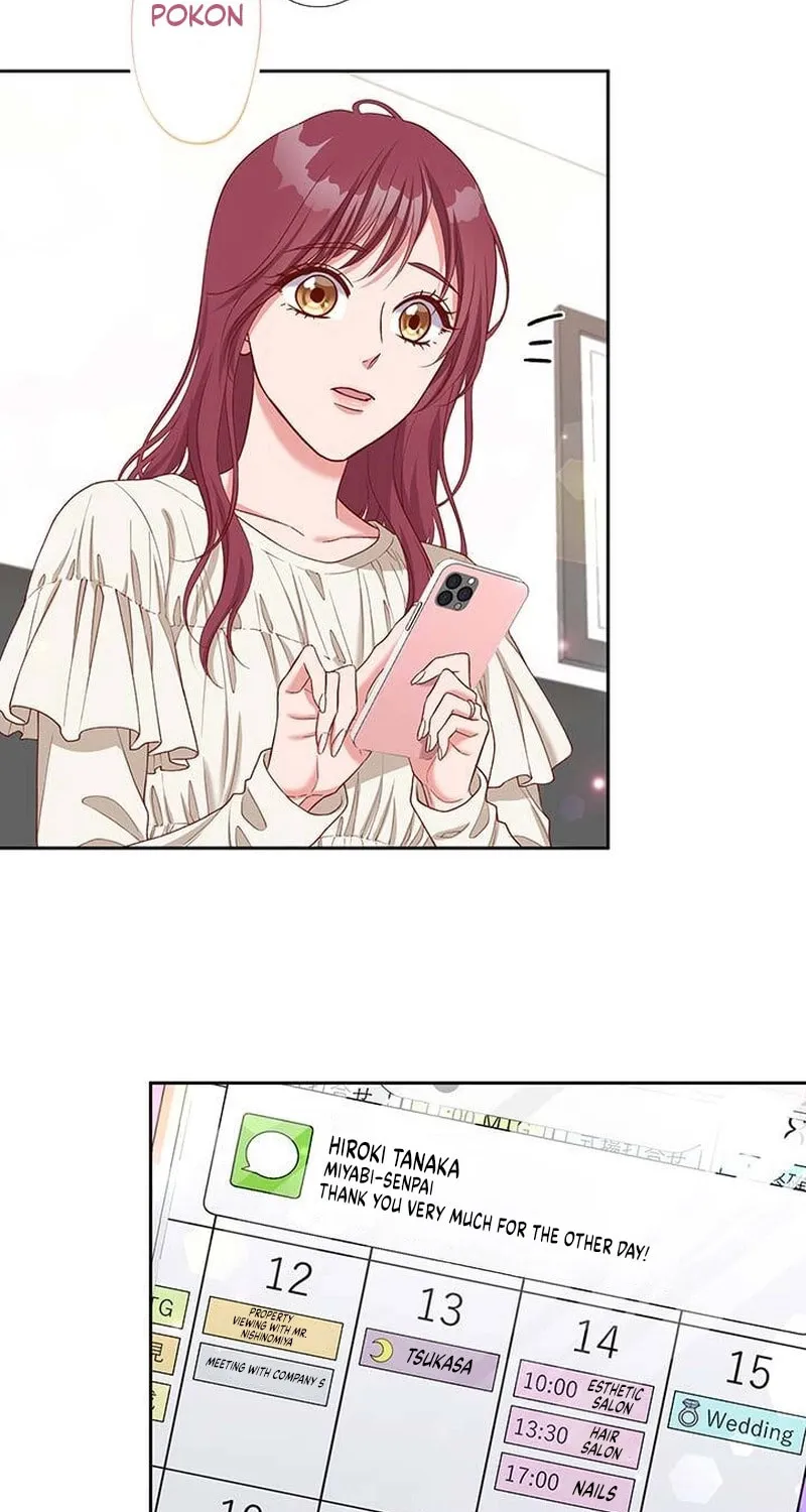 Business Marriage - If You Fall in Love, We'll Get a Divorce