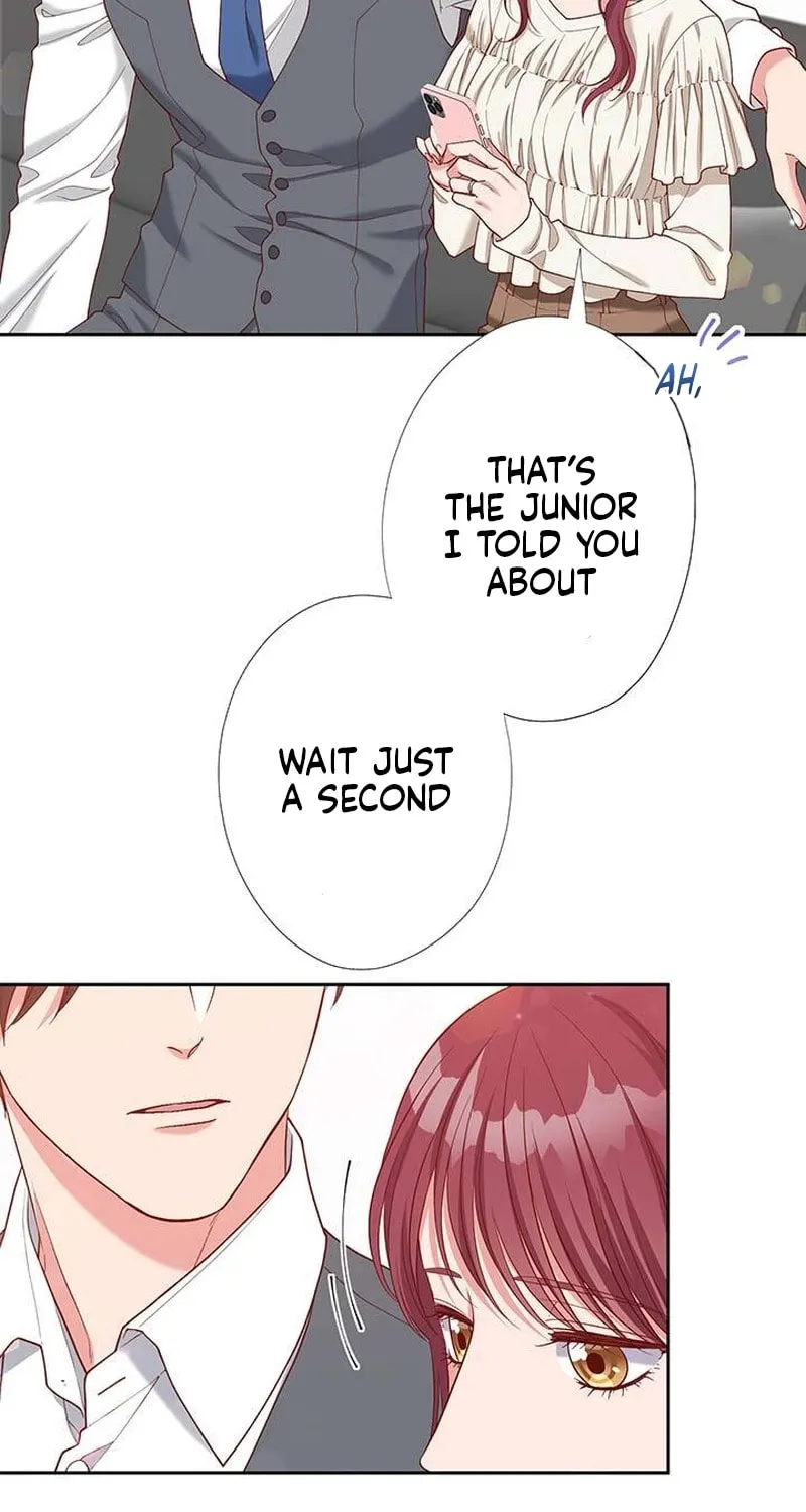 Business Marriage - If You Fall in Love, We'll Get a Divorce