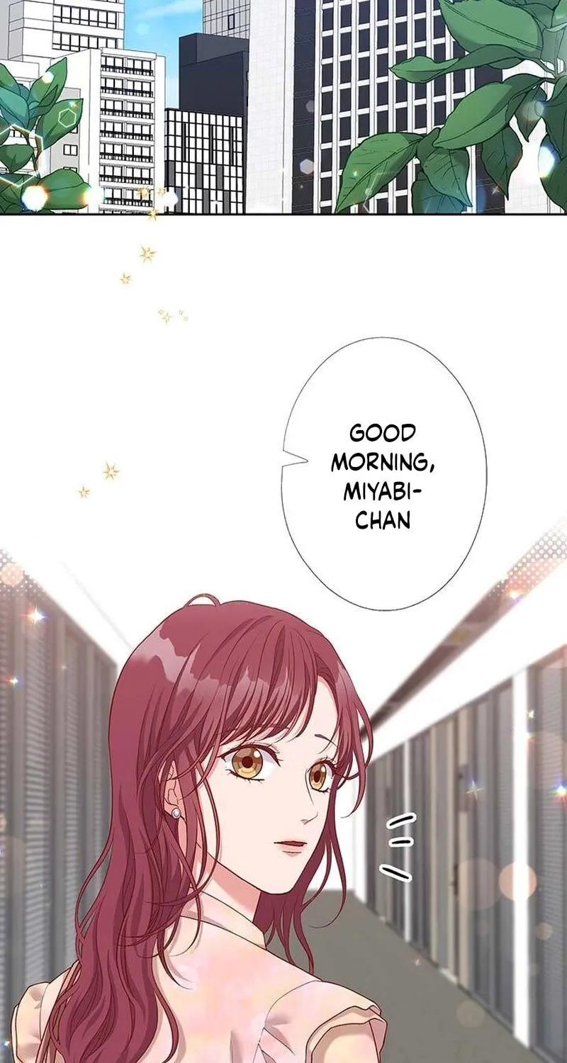 Business Marriage - If You Fall in Love, We'll Get a Divorce