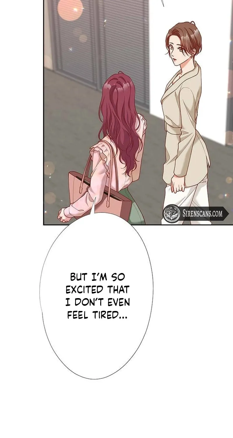 Business Marriage - If You Fall in Love, We'll Get a Divorce